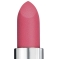 Pupa Petalips - 05 Elegant Camellia