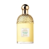 Guerlain Acqua Allegoria Bergamote Calabria 75ML