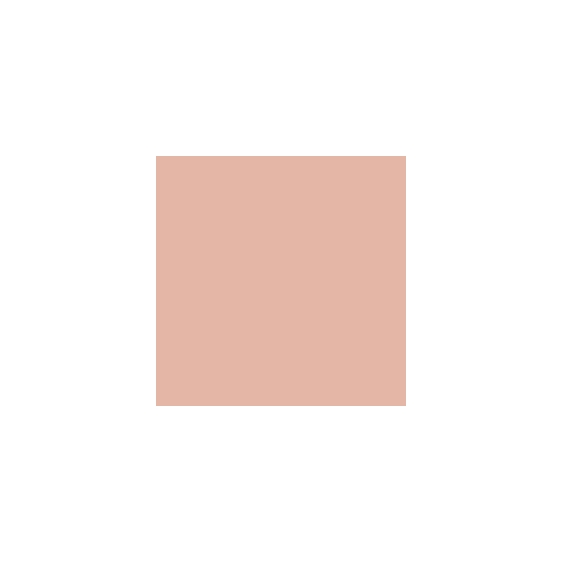 Shiseido Advanced Hydro-Liquid Compact (Refill)- SPF 10