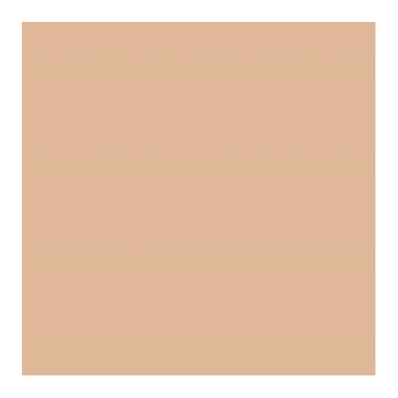 Estee Lauder Double Wear Sheer Long-Wear Makeup SPF20 - 1N2