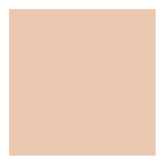 Estee Lauder Double Wear Sheer Long-Wear Makeup SPF20 - 2N1