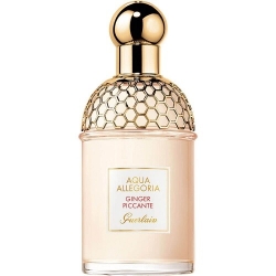 Guerlain Aqua Allegoria Ginger Piccante 75ML