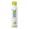 Vidal Freschezza Intensa Bergamotto E Zenzero Deo Spray 150 ml