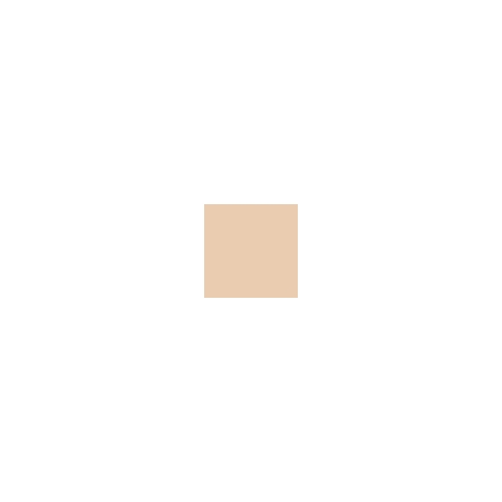 Maybelline Super Stay 24H Skin Tint Fondotinta Fluido - 10