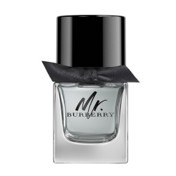 Burberry Mr. Burberry 50ML