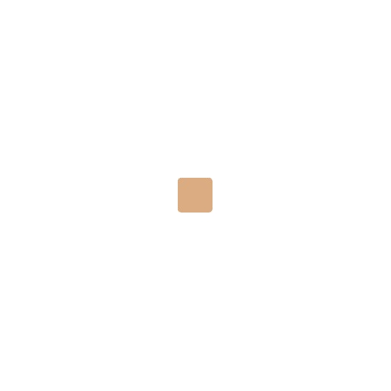 Estee Lauder Double Wear Stay-in-Place Makeup SPF 10 - 4N1 Shell Beige 05