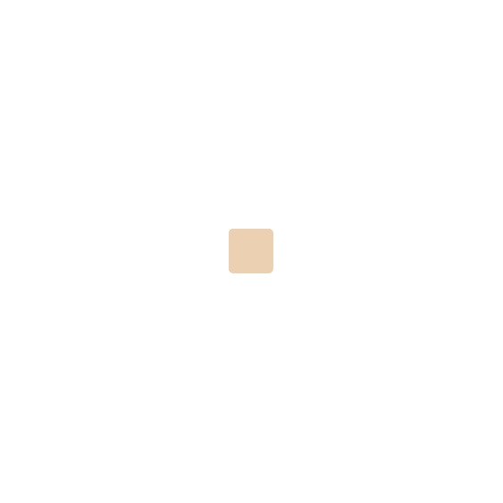 Estee Lauder Double Wear Light Stay-in-Place Makeup SPF 10 - Intensity 1.0