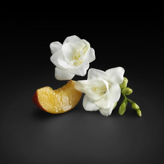 Boss The Scent for Her 100ML