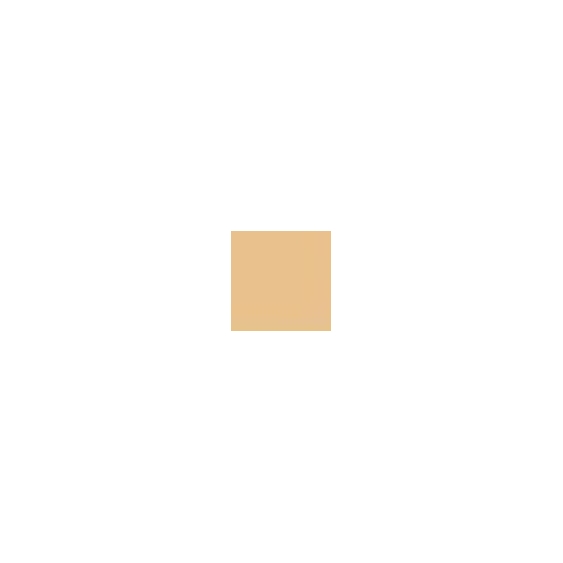 Givenchy Mister Light Concealer - 120
