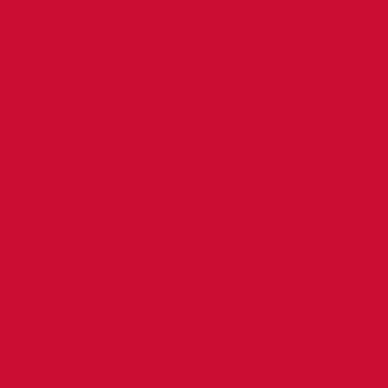 Yves Saint Laurent Rouge Pur Couture The Bold - 01 Le Rouge