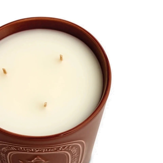 Diptyque Ambre Candela Profumata 600 gr