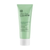 Collistar Attivi Puri Maschera Purificante All'Argilla Acido Salicilico + Zinco PCA 75 ml
