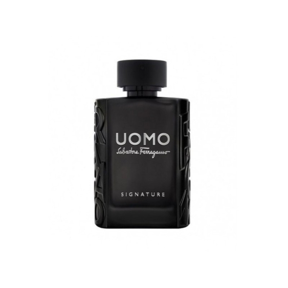 Salvatore Ferragamo Uomo Signature 100ML