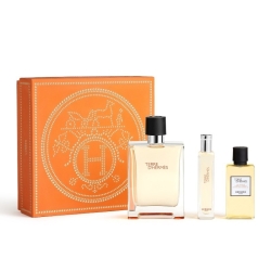 Hermès Terre D'Hermes Eau De Toilette 100 ml + 15 ml + Shower Gel 40 ml Cofanetto