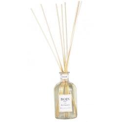 Bois 1920 Ginger Profumo D'Ambiente 100 Ml