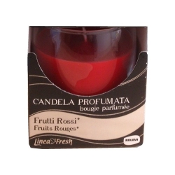 Relevi Candela Profumata Profumazioni Assortite 120 G