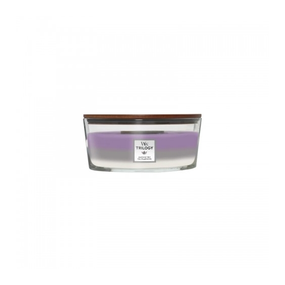Woodwick Trilogy Amnet Sky Candela Profumata Ellittica 453 G