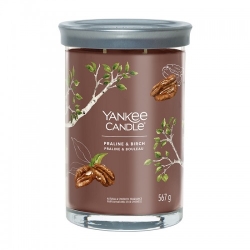 Yankee Candle Praline & Birch Candela Profumata Tumbler Grande 567 G