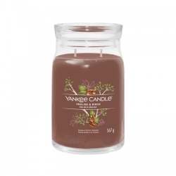 Yankee Candle Praline & Birch Candela Signature In Giara Grande 567 G