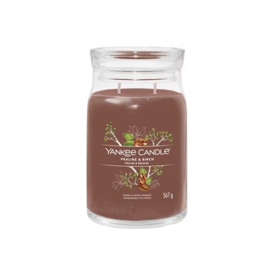Yankee Candle Praline & Birch Candela Signature In Giara Grande 567 G