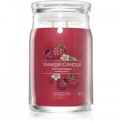 Yankee Candle Red Raspberry Candela Signature Jar Profumata Grande