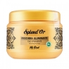 Splend'Or My Ritual Olio Splendente Maschera Illuminante Per Capelli Spenti 500 Ml