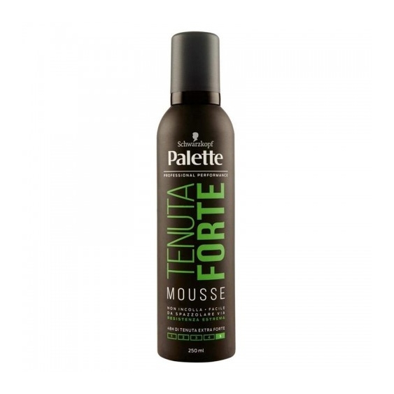 Palette Mousse Strong Hold Tenuta Forte 250 Ml