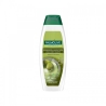 Palmolive Naturals Morbidezza & Lucentezza Shampoo Per Capelli Lunghi 350 Ml