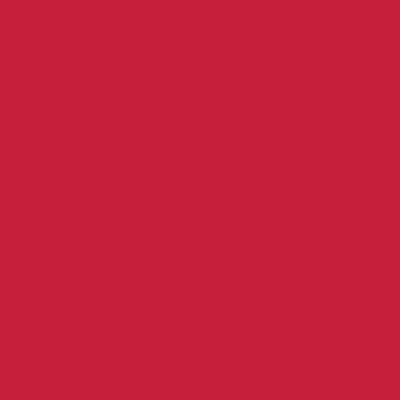 Deborah Milano Red Mat Rossetto - 33 Timeless Red