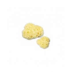 Farmac-Zabban Spugna Naturale N. 4 Extra Grande