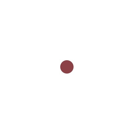 Sensai Colours Rouge Intense Lasting Colour - 107