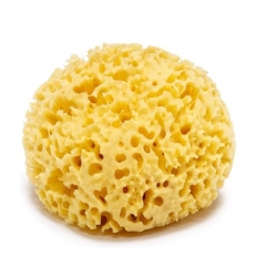 Sterilfarma Spugna Naturale 8 Cm