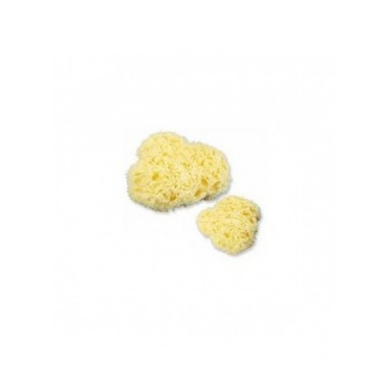 Farmac-Zabban Spugna Naturale N. 3 Grande