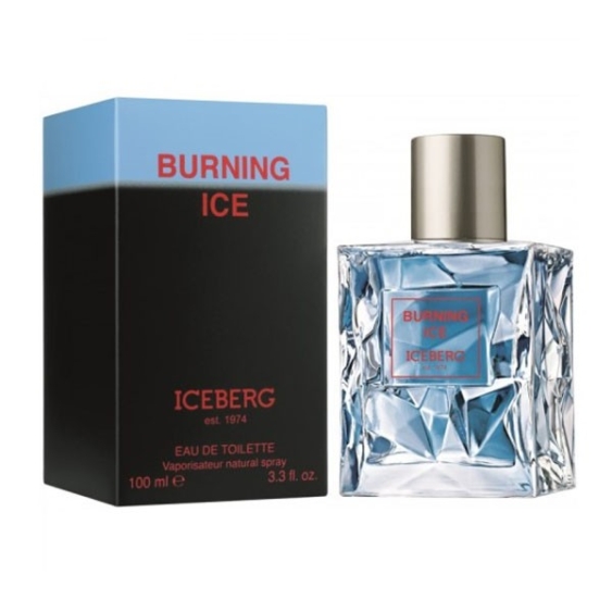 Iceberg Burning Ice 100ML