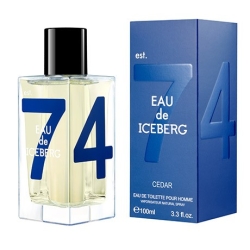Iceberg Eau de Iceberg Cedar 100ML