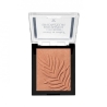 Wet N Wild Color Icon Bronzer Terra Abbronzante N.E740A Ticket To Brazil