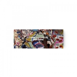 Comme Des Garcons Cdg X Samuel De Saboia Miniatures Set Cofanetto Collezione