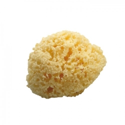 Koh-I-Noor Spugna Da Bagno Naturale Da 12-13 Cm Di Diametro