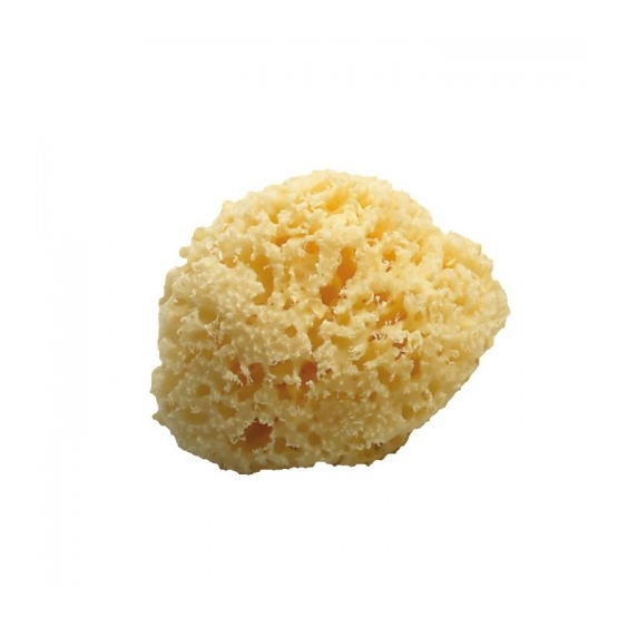 Koh-I-Noor Spugna Da Bagno Naturale Da 12-13 Cm Di Diametro