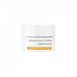 Dr.hauschka Balsamo Labbra Rigenerante E Protettivo 4,5 Ml