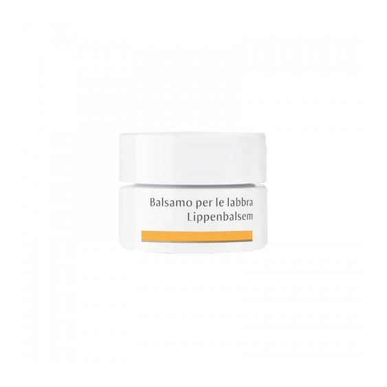 Dr.hauschka Balsamo Labbra Rigenerante E Protettivo 4,5 Ml