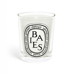 Diptyque Baies Candela Profumata 190 Gr
