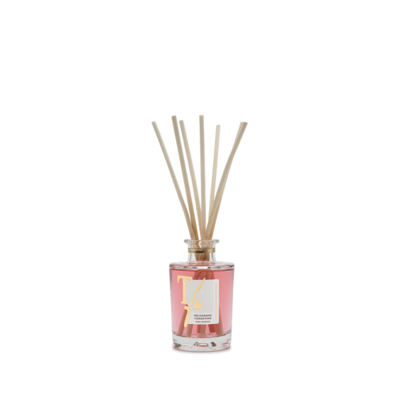 Teatro Fragranze Uniche Melograno Fiorentino Diffusore Con Bastoncini 100 Ml