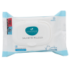 Vantage 20 Salviette Milleusi senza Alcol