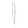 Trim 5-29Md - Pinza Ciglia Cromo